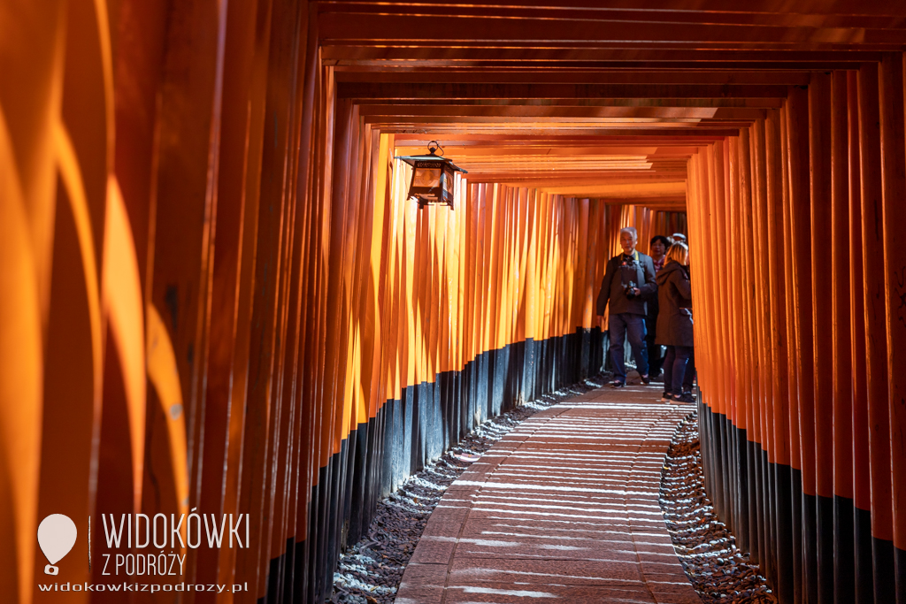 Chodzi lisek koło drogi,… czyli Fushimi Inari Taisha